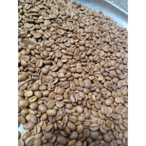 CAFÉ EM GRÃO ARÁBICA TORRADO 1KG - Imagem 3